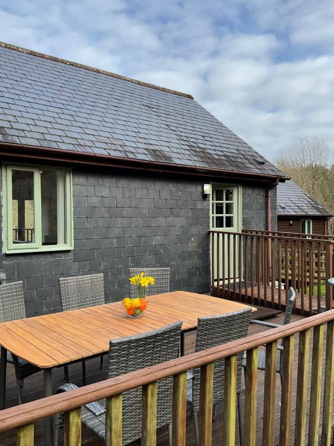 8 Oakridge, St Mellion Βίλα Εξωτερικό φωτογραφία